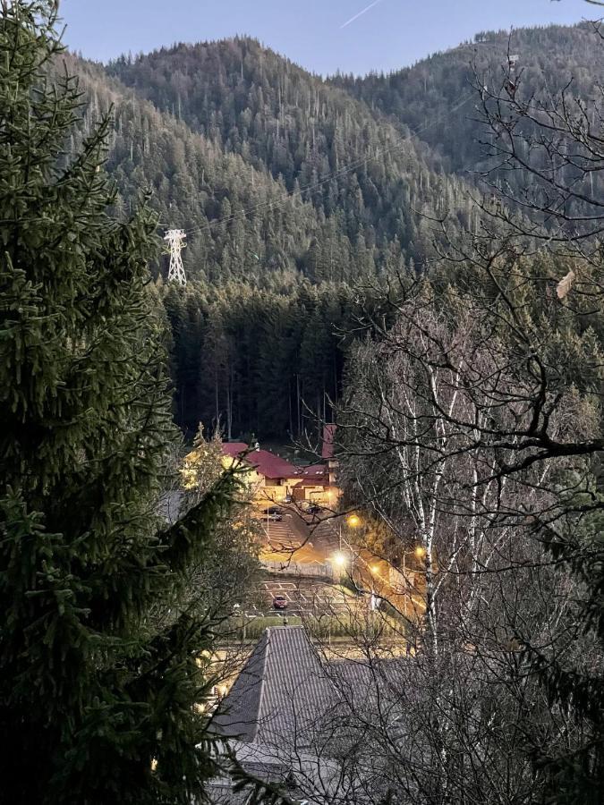 Vila Condor Poiana Brasov Exterior foto